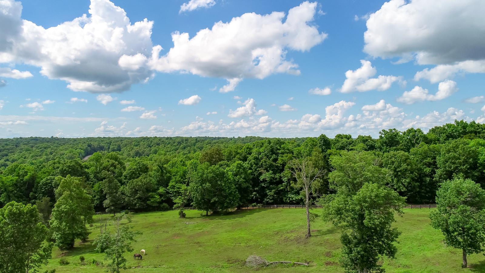 3801 Lake Road Woodlawn, TN 37191 - Photo 3 of 23 83.22 Acres In Woodlawn Is Ready For You To Start Your Country Livin' Dream!