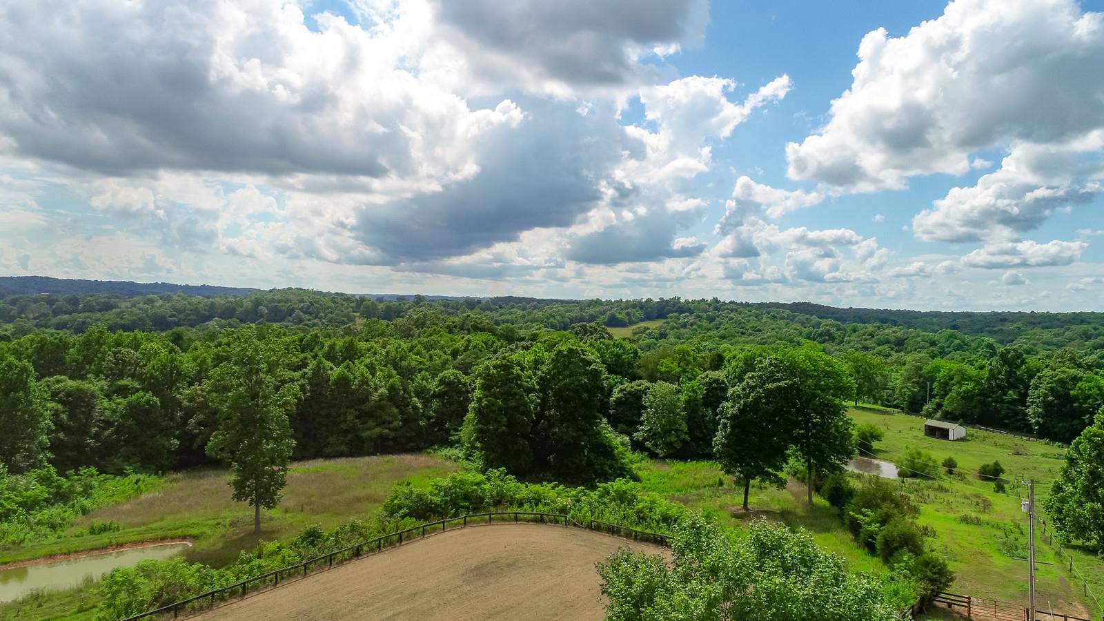 3801 Lake Road Woodlawn, TN 37191 - Photo 4 of 23 The Sun Just Shines Brighter In The Country!