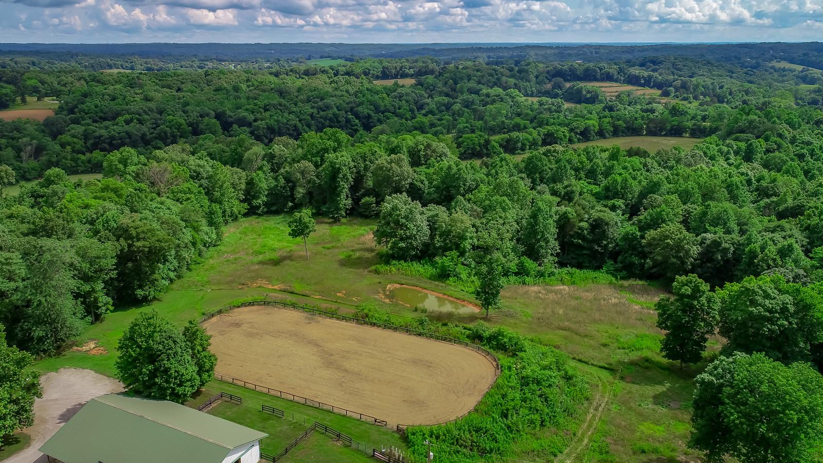 3801 Lake Road Woodlawn, TN 37191 - Photo 9 of 23 Bring Your Horses, Chickens, Cows, & Pigs!