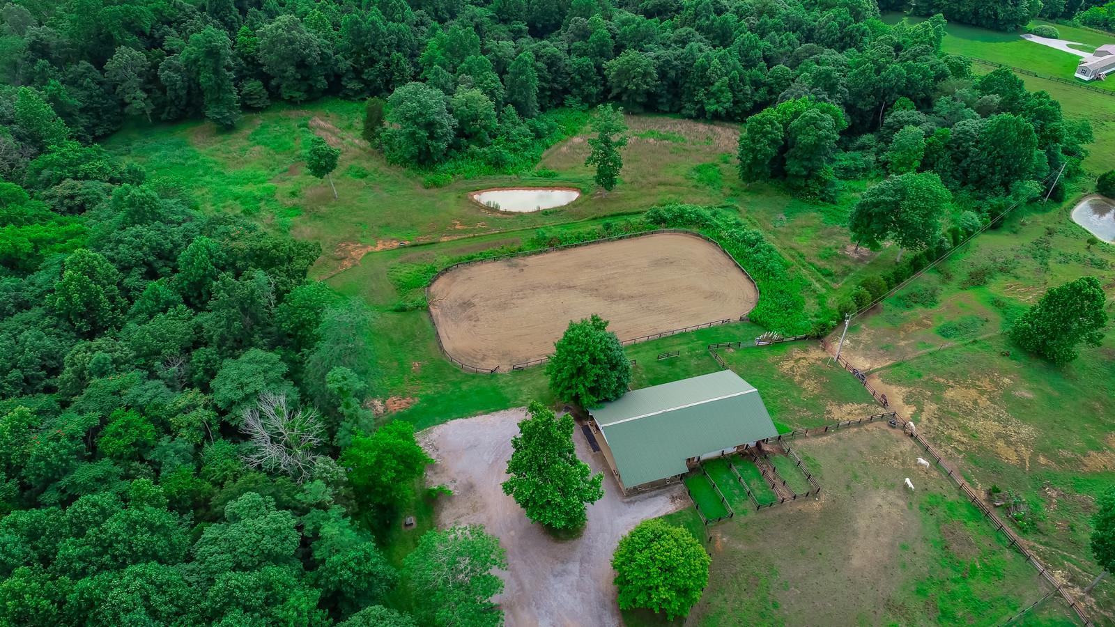 3801 Lake Road Woodlawn, TN 37191 - Photo 10 of 23 An Absolute Country Paradise With Tons Of Privacy!