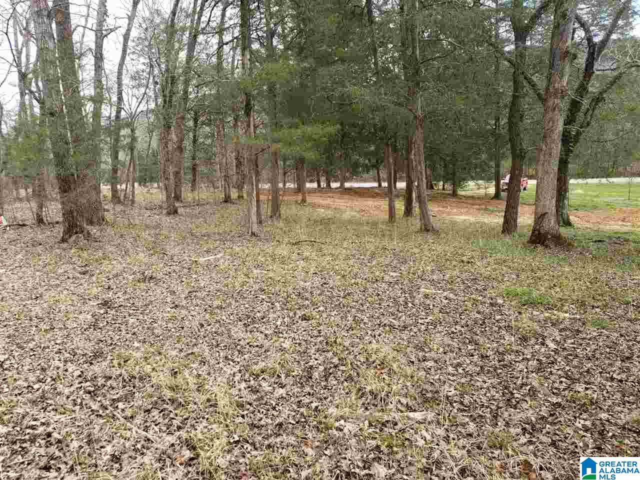 0 Remlap Drive, Unit 1 Remlap, AL 35133 - Photo 1 of 11