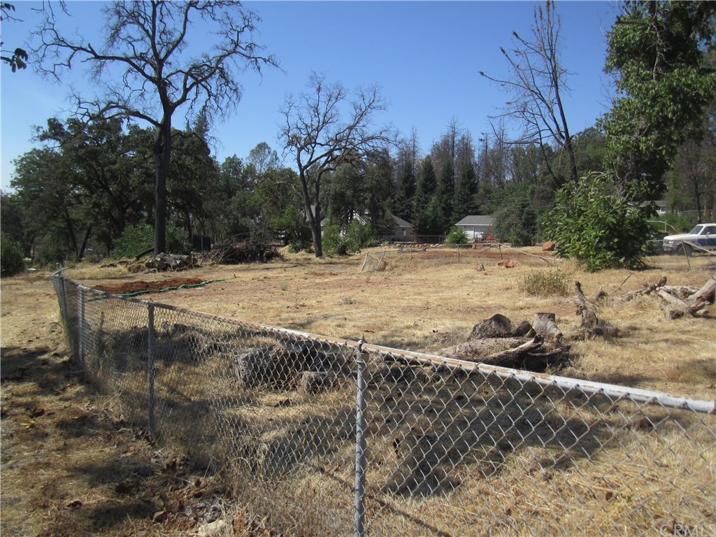 746 Roe Road Paradise, CA 95969 - Photo 1 of 1 a view of a yard with a tree