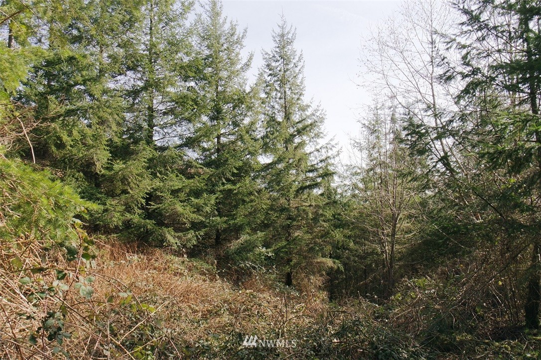 3701 Mt Pleasant Road Kelso, WA 98626 - Photo 7 of 25 Gallery Image 7