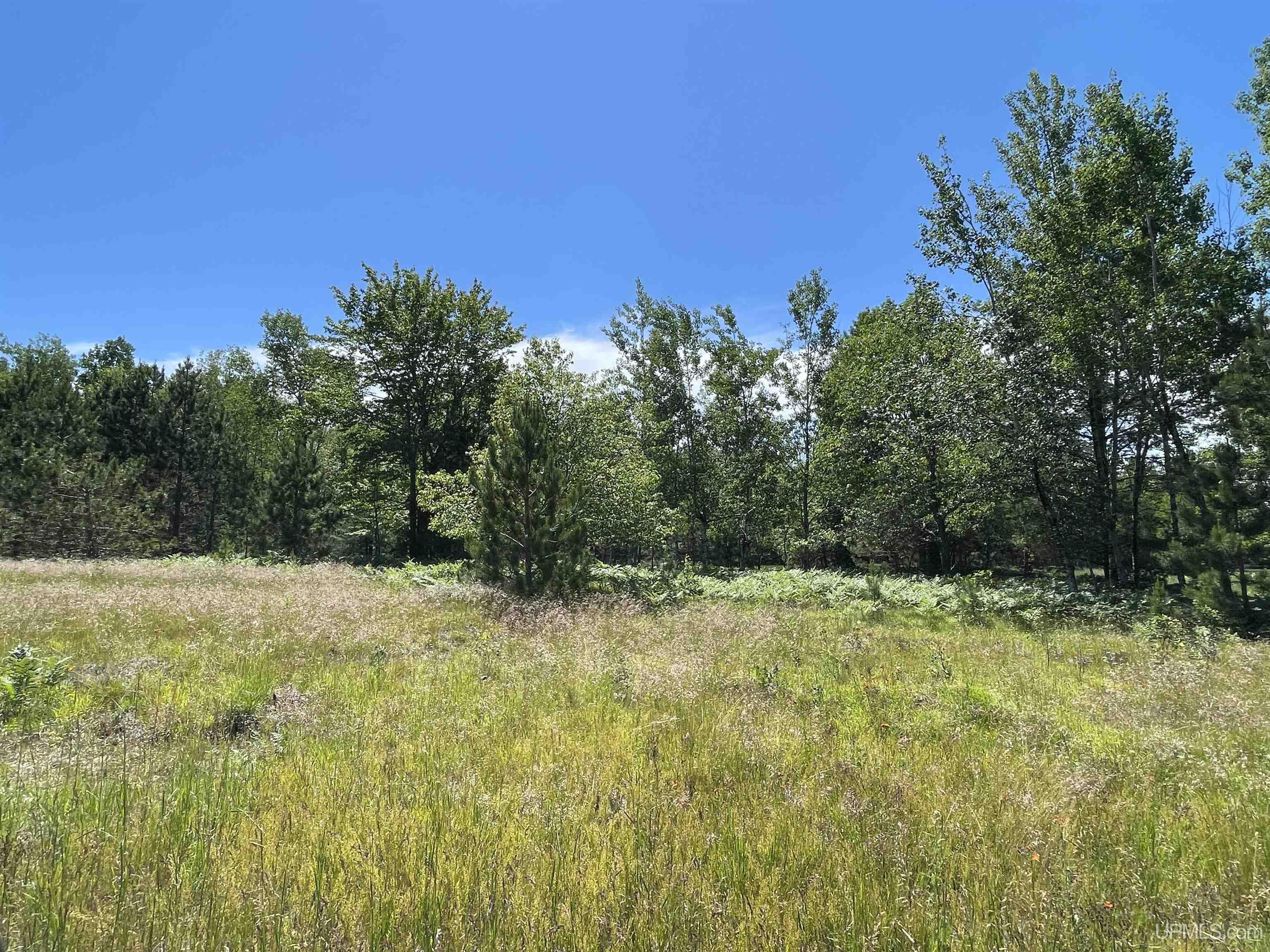 Tbd Flodin Road Manistique, MI 49854 - Photo 38 of 55 Gallery Image 38