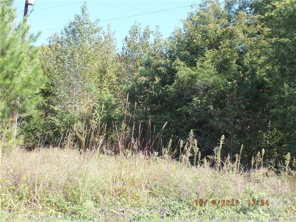 0 Reece Road Lancaster, SC 29720 - Photo 3 of 7 a view of a yard