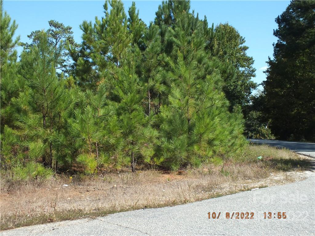 0 Reece Road Lancaster, SC 29720 - Photo 5 of 7 a view of a field