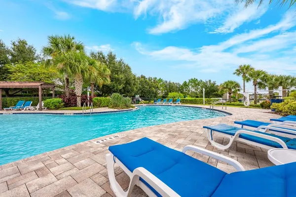 a view of a park with large trees