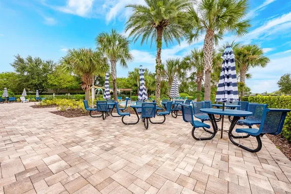 a view of a park with large trees