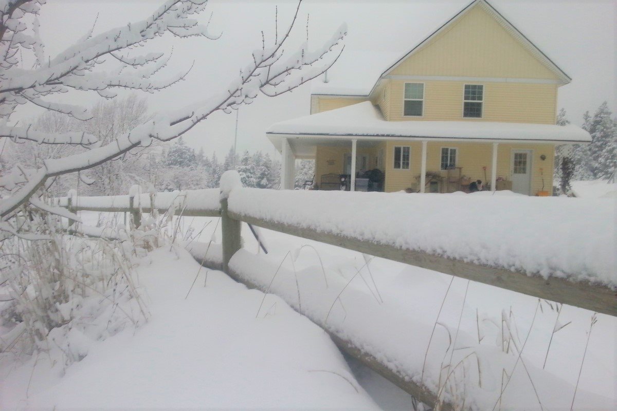 1502 Veit Road Newport, WA 99156 - Photo 2 of 20 Gallery Image 2