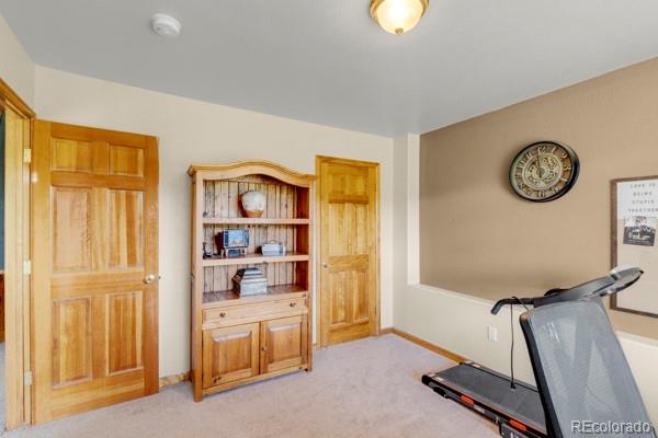 182 Spruce Trail Bailey, CO 80421 - Photo 24 of 34