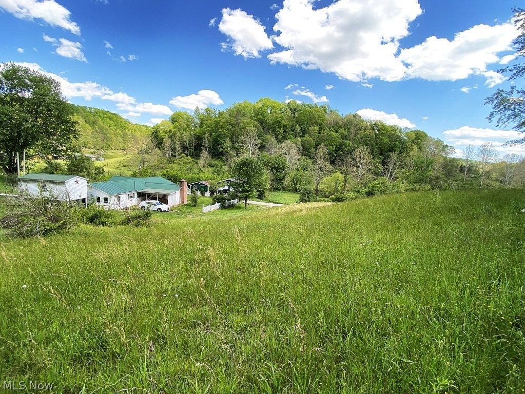 2174 Middle Fork Road Reedy, WV 25270 - Photo 49 of 50