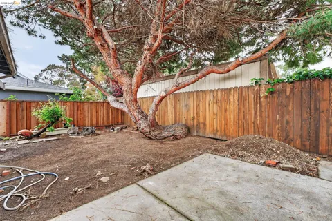 a view of a house with backyard and a tree