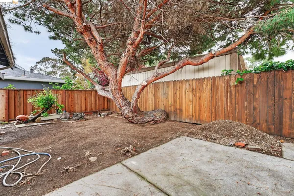 a view of a house with backyard and a tree