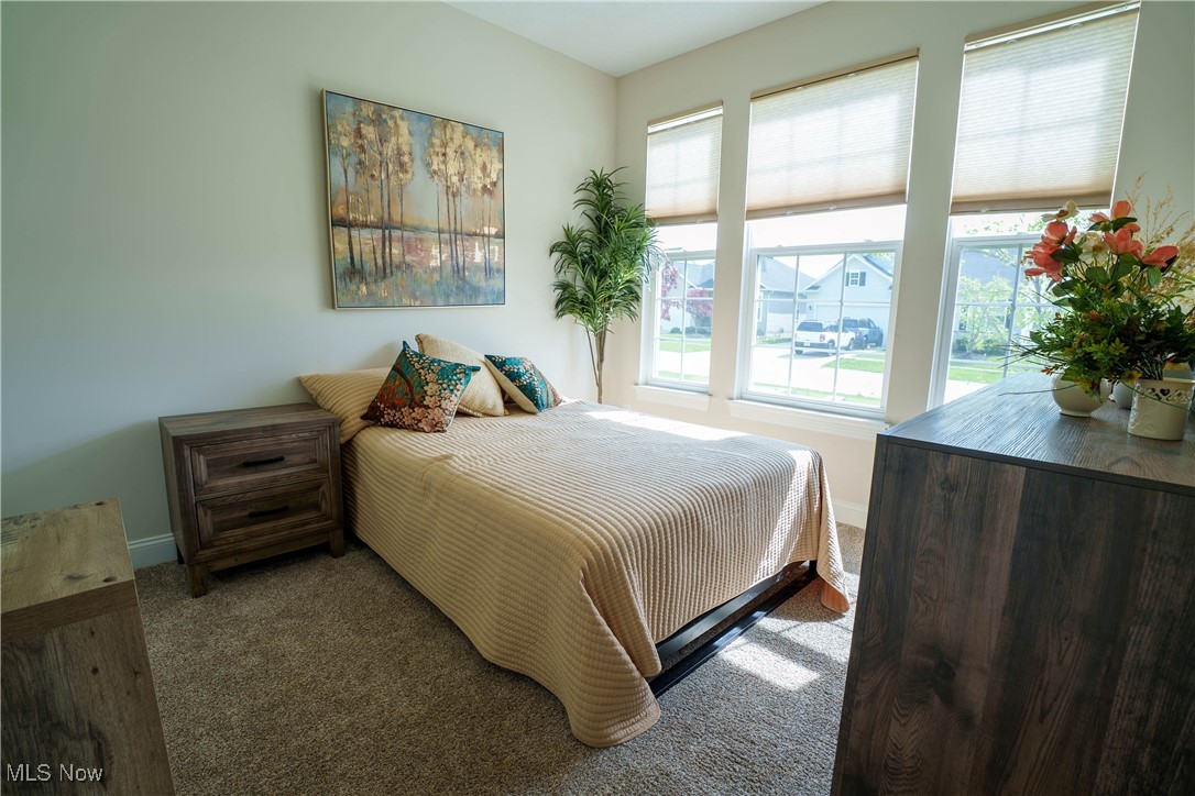6696 Amber Way North Ridgeville, OH 44039 - Photo 13 of 24 Gallery Image 13