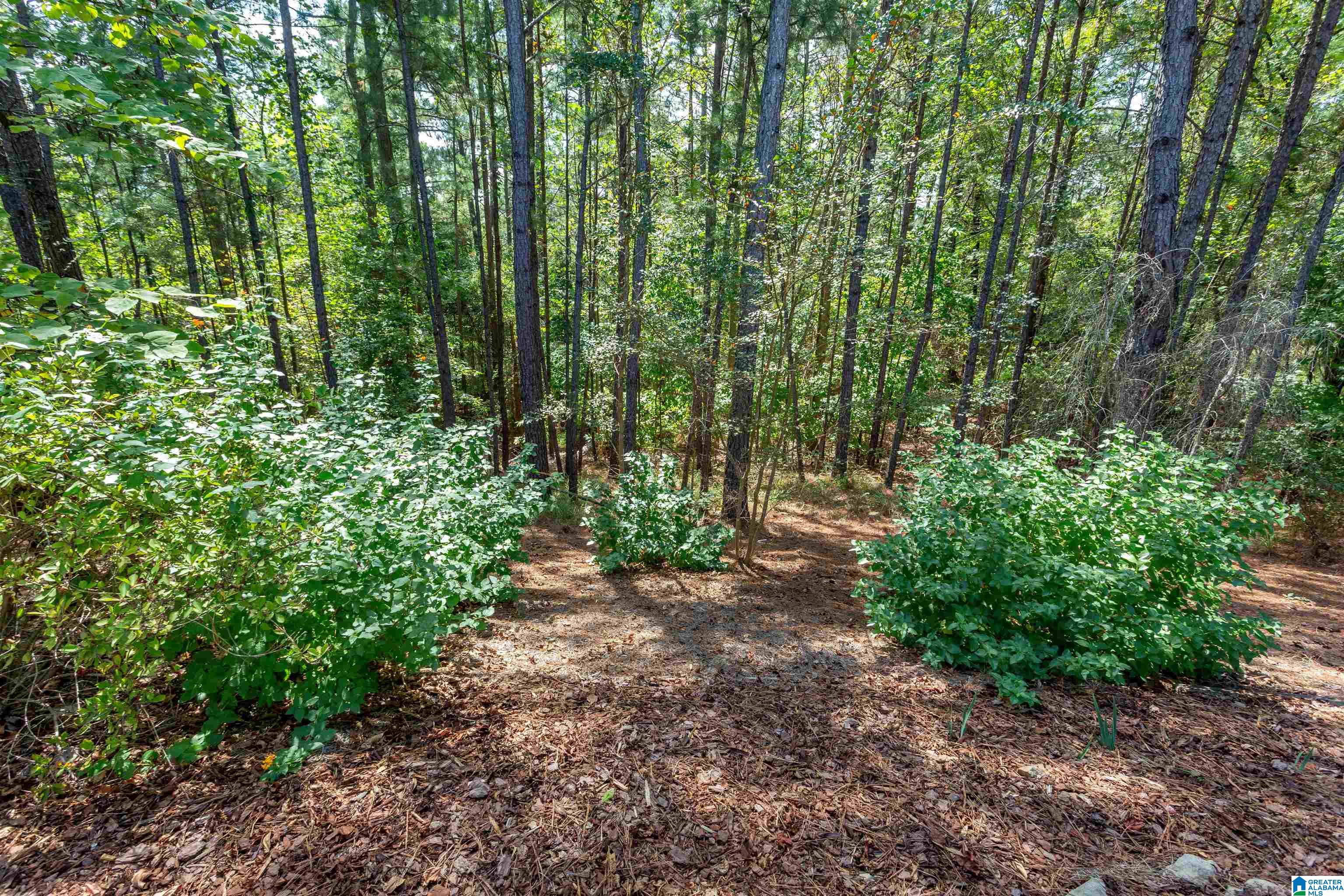 644 Narrows Point Way Birmingham, AL 35242 - Photo 14 of 52