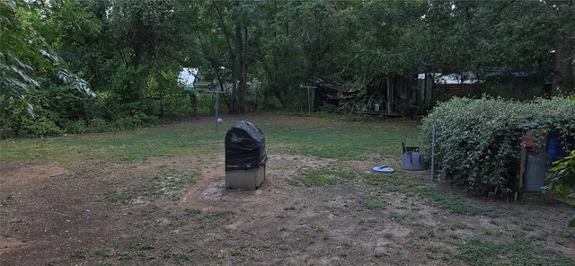 a view of a backyard with trees