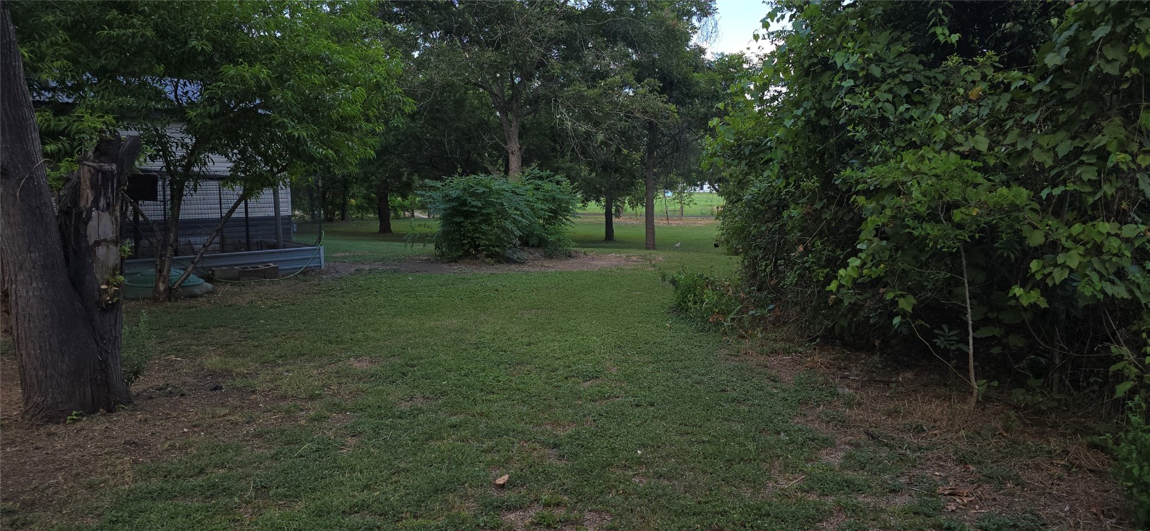 2002 Citation Drive Del Valle, TX 78617 - Photo 20 of 25 a view of a yard with large trees