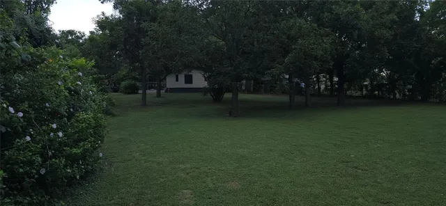 a view of a trees in a yard