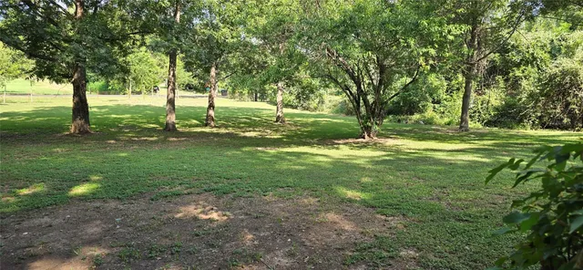 a view of a park with a tree