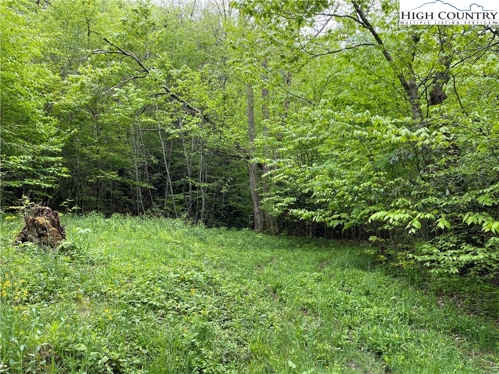 Lot 22 Meadow Avenue Banner Elk, NC 28604 - Photo 2 of 6 a view of a back yard