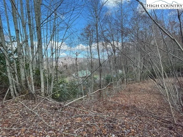 $49,500 | Lot 22 Meadow Avenue, Banner Elk, NC 28604