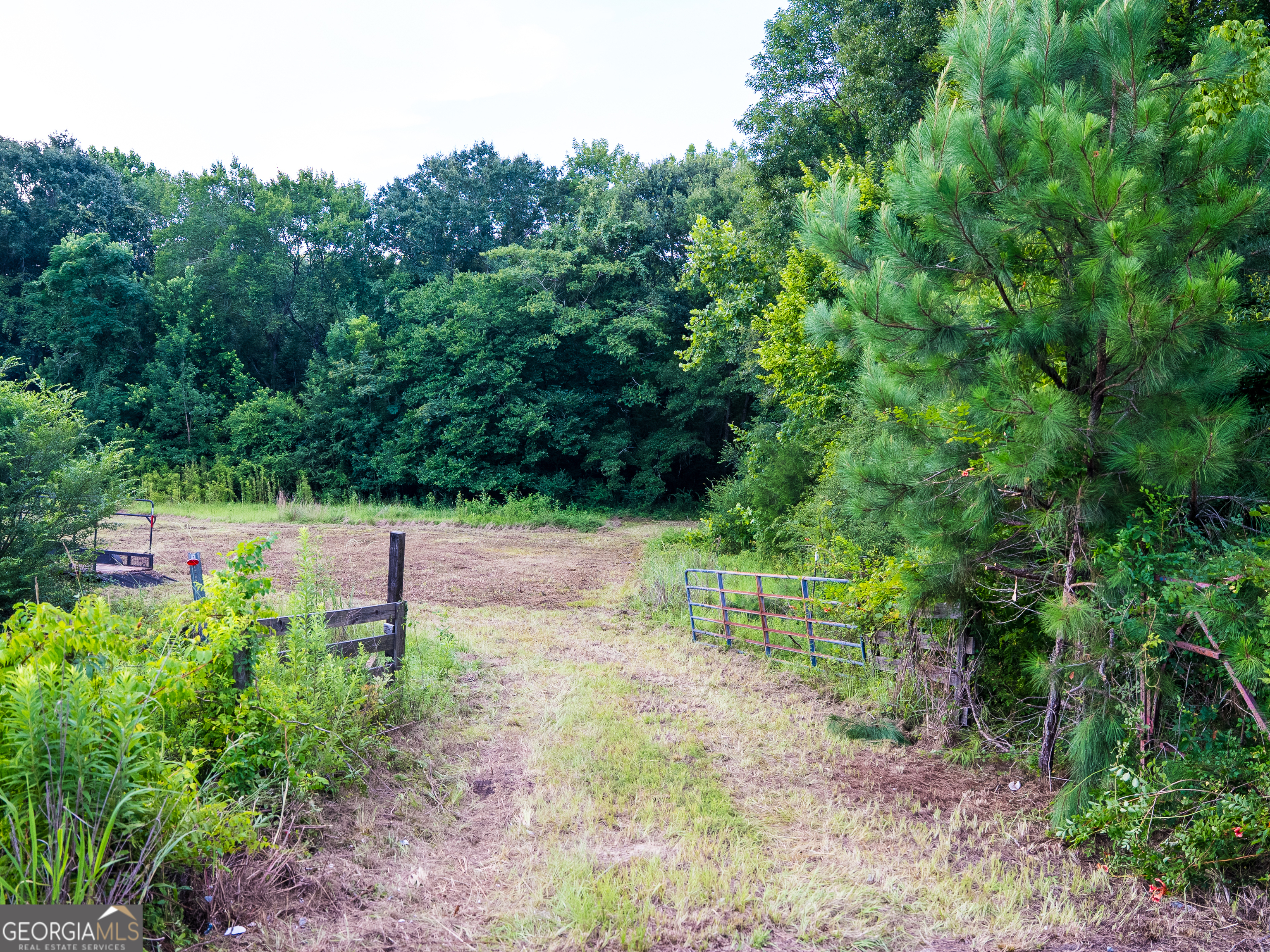 Tbd State Route 26 Road Montezuma, GA 31063 - Photo 52 of 52