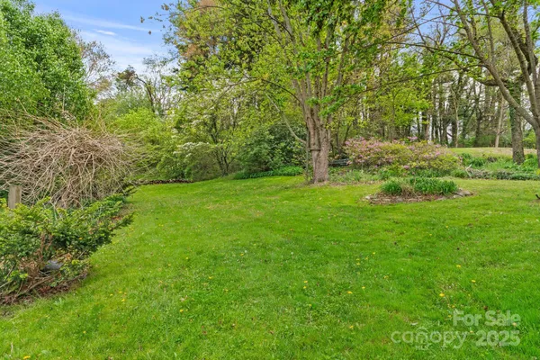 a view of a grassy field with trees