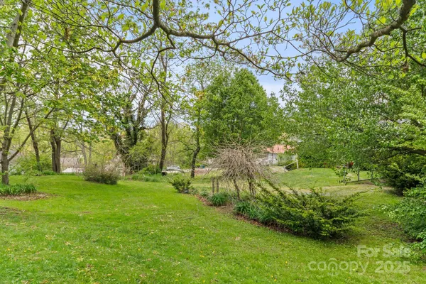 a view of a garden with a tree