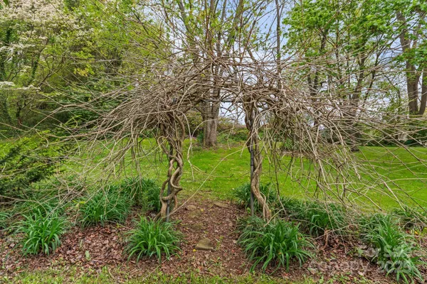 a backyard of a house with lots of green space and trees