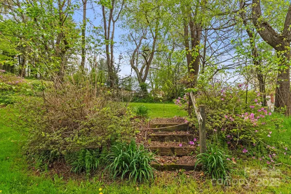 a view of yard with green space