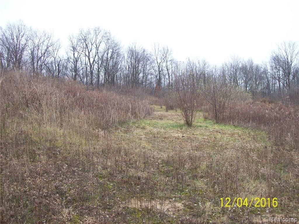 Na Moscow Road Jonesville, MI 49250 - Photo 2 of 36