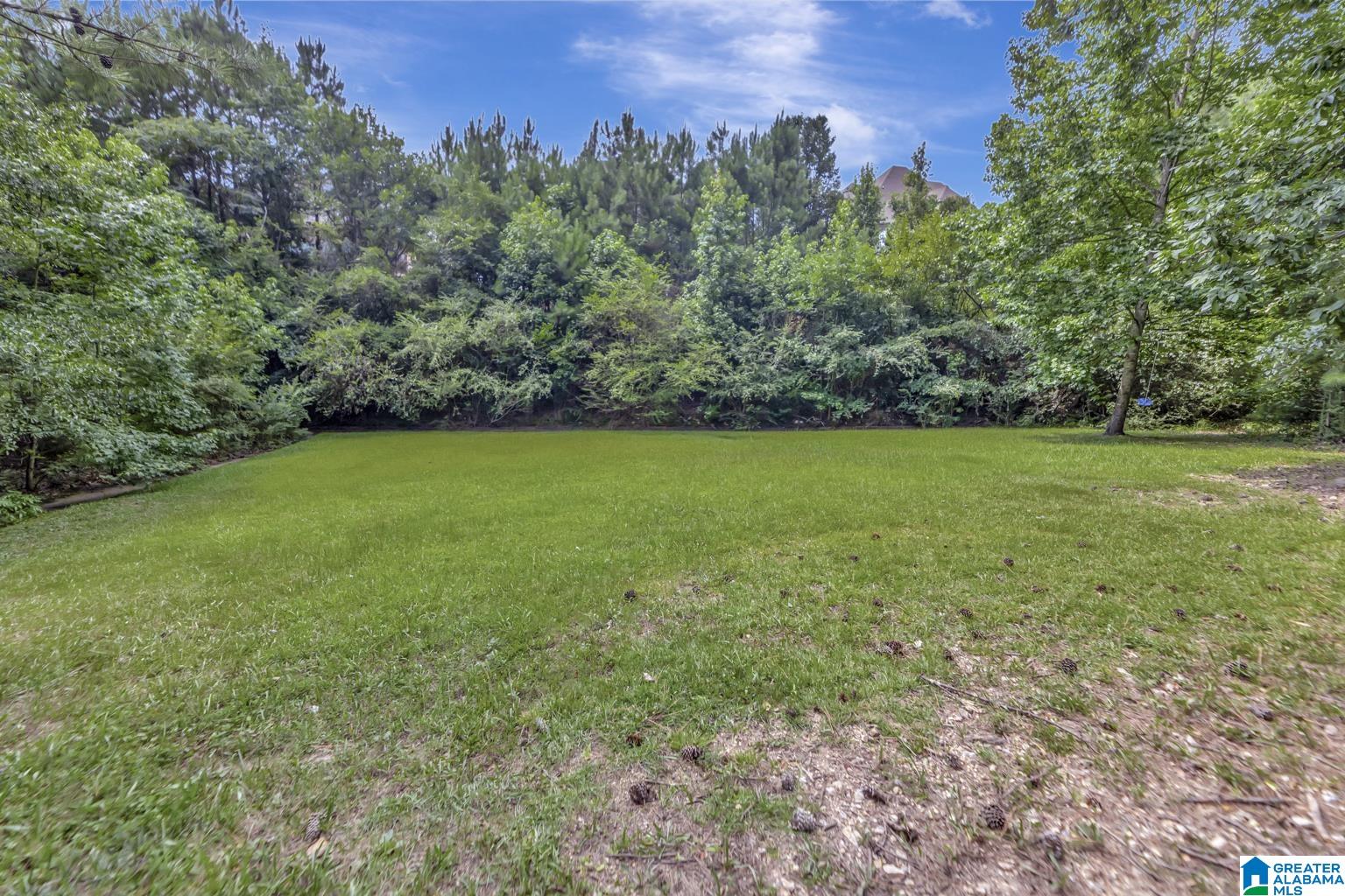 249 Grande View Circle Alabaster, AL 35114 - Photo 56 of 60