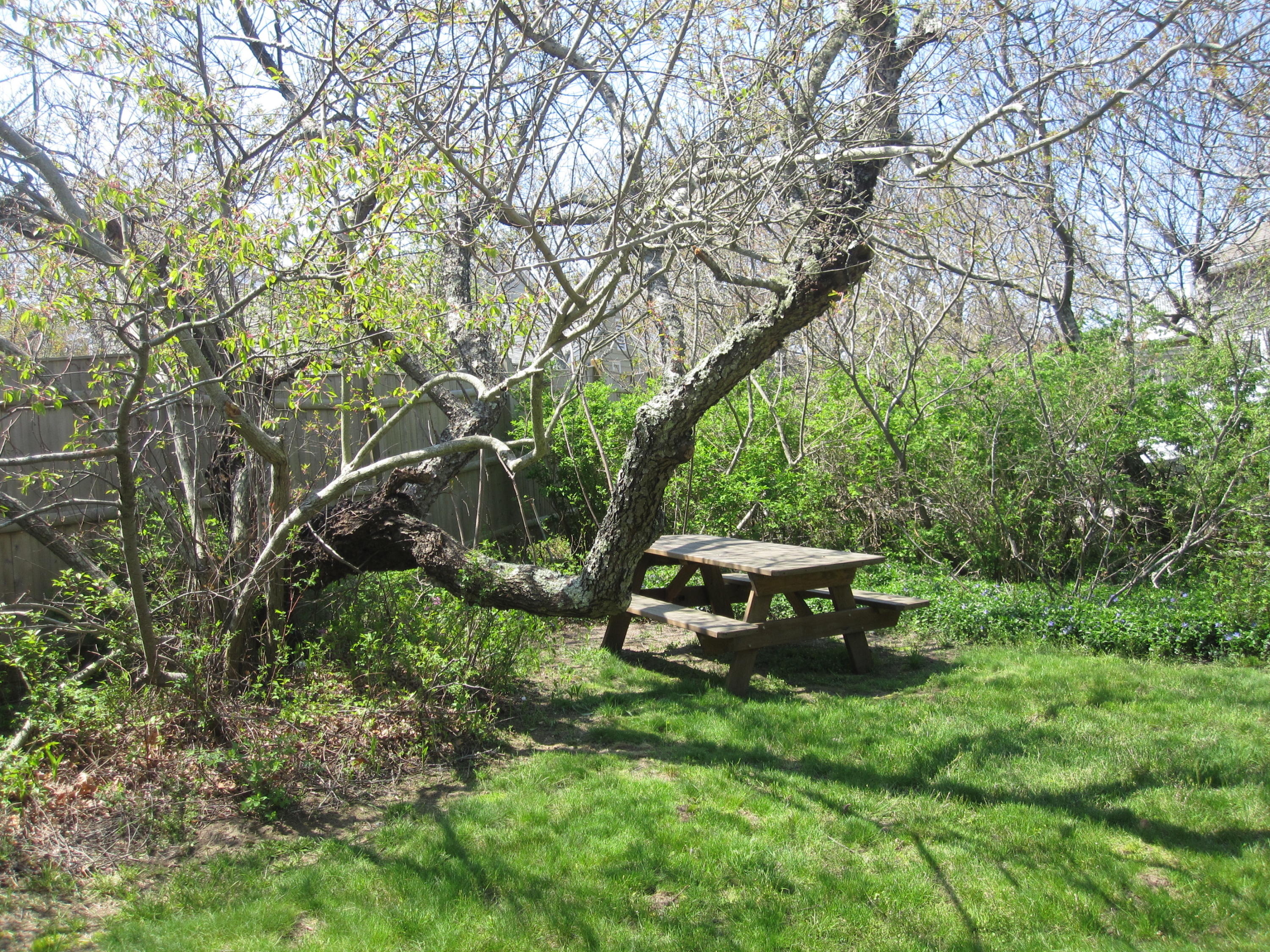 265 Pierce Road Eastham, MA 02642 - Photo 39 of 41 Picnic Table