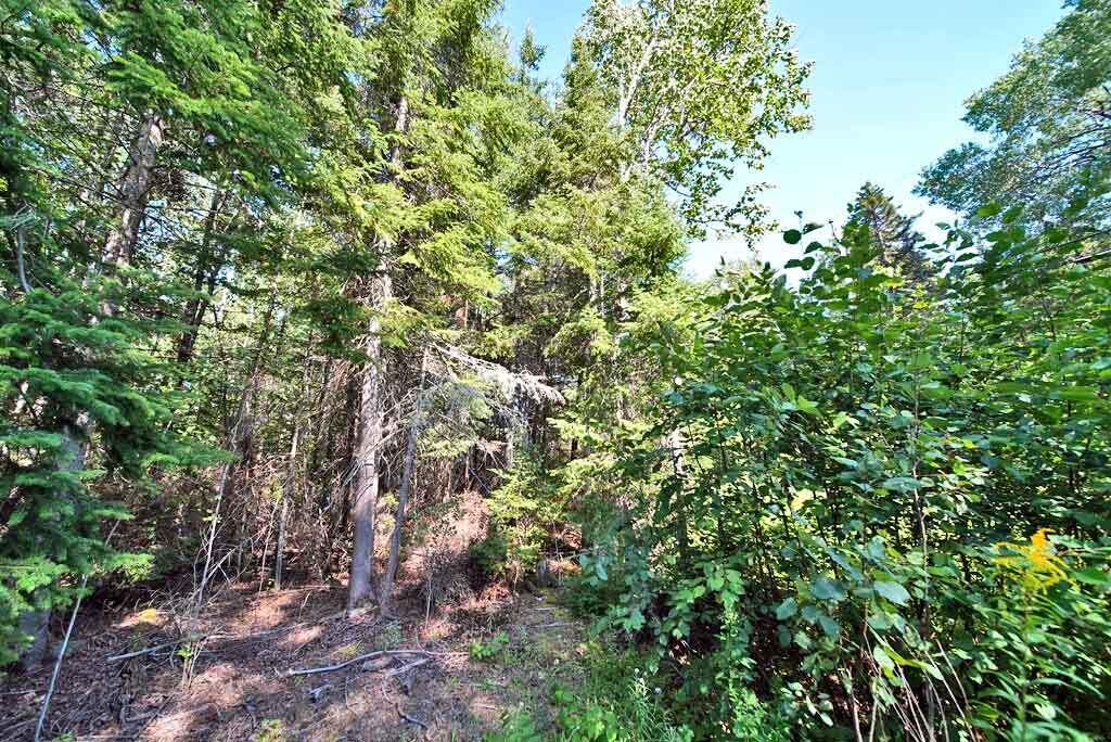 62 Hersom Road Easton, ME 04740 - Photo 25 of 27 mixed-woods-maine-land