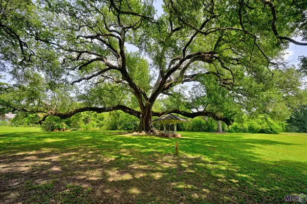 $1,500,000 | 2123 St Mary Street, Thibodaux, LA 70301