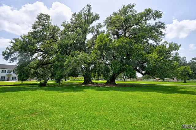 $1,850,000 | 2123 St Mary Street, Thibodaux, LA 70301