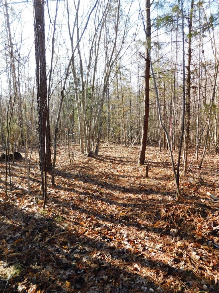 629 Weaver Road, Unit 9 Green Bay, VA 23942 - Photo 10 of 12 Gallery Image 10