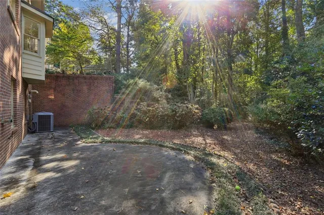 a view of a forest with trees in the background