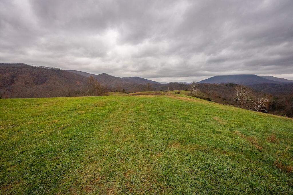 Lot 1 Curve Road Pearisburg, VA 24134 - Photo 16 of 28 DSC06051