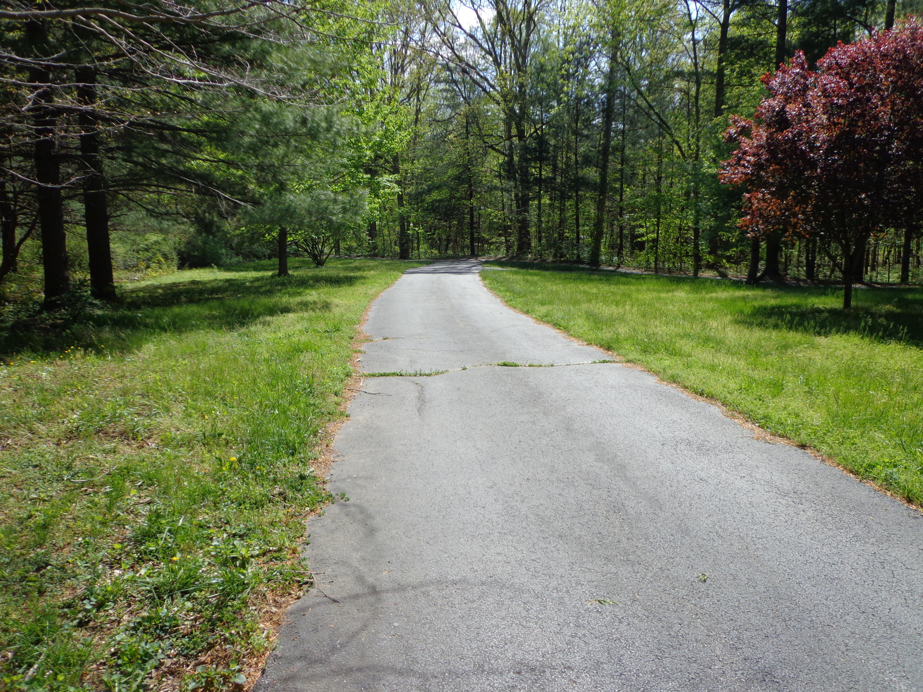 5040 Keffer Road Catawba, VA 24070 - Photo 3 of 35 DSC03733