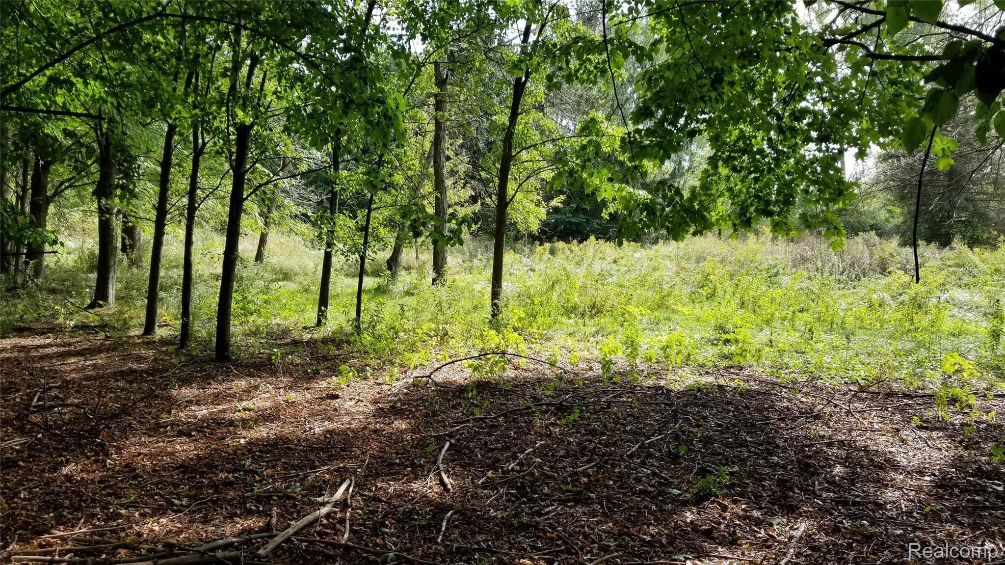 19325 Wahrman Road New Boston, MI 48164 - Photo 46 of 57 Land.jpg