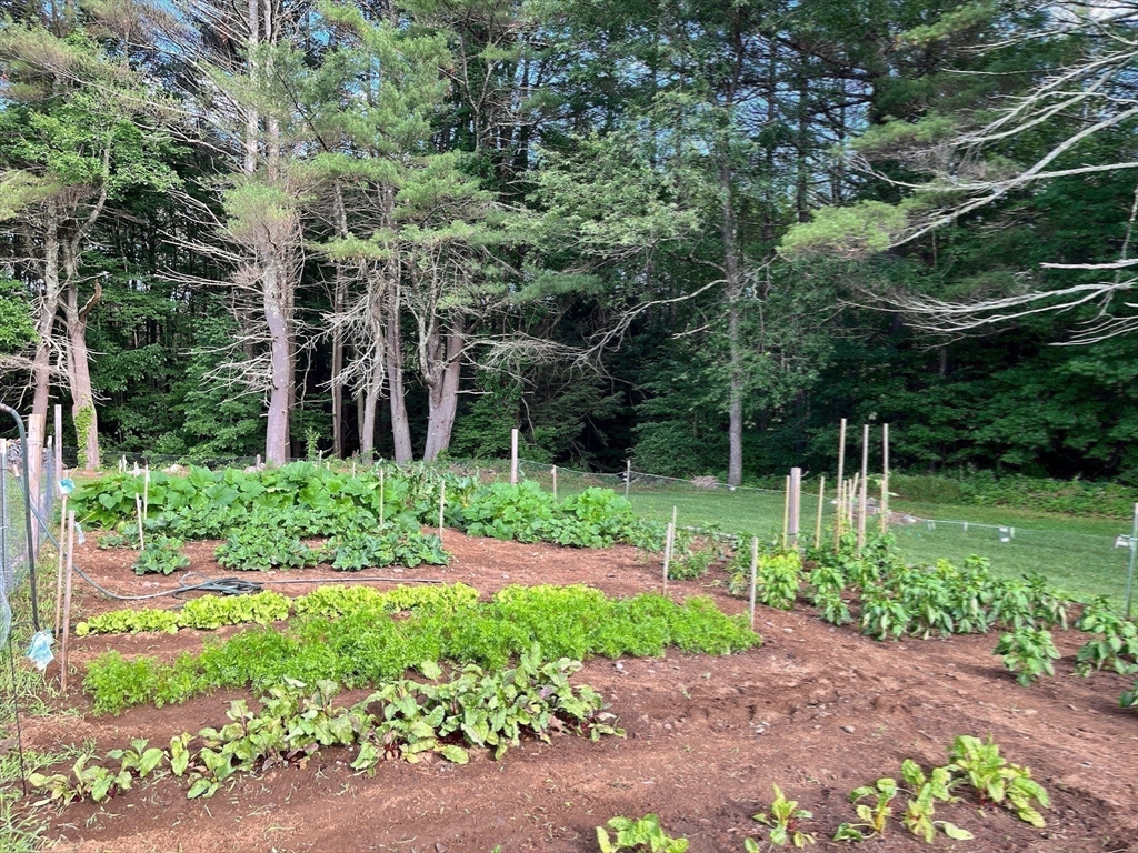 171 Paxton Road Spencer, MA 01562 - Photo 31 of 34 Gallery Image 31