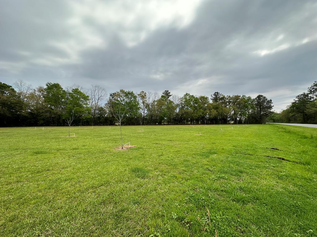 0 Rountree Brg Road Sparks, GA 31647 - Photo 1 of 10 Gallery Image 1