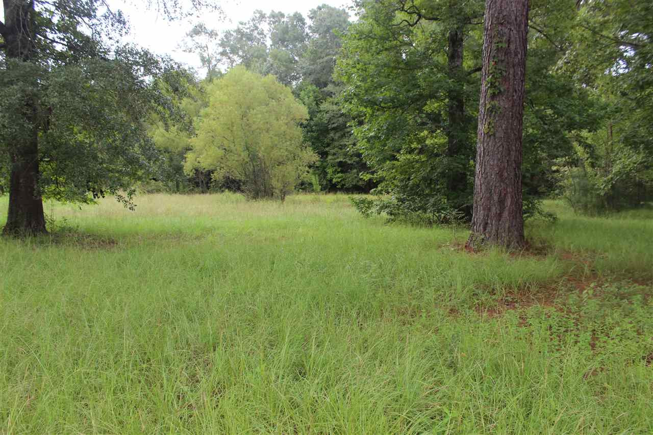 2720 River Bend Road Lena, MS 39094 - Photo 18 of 19 Photo 18