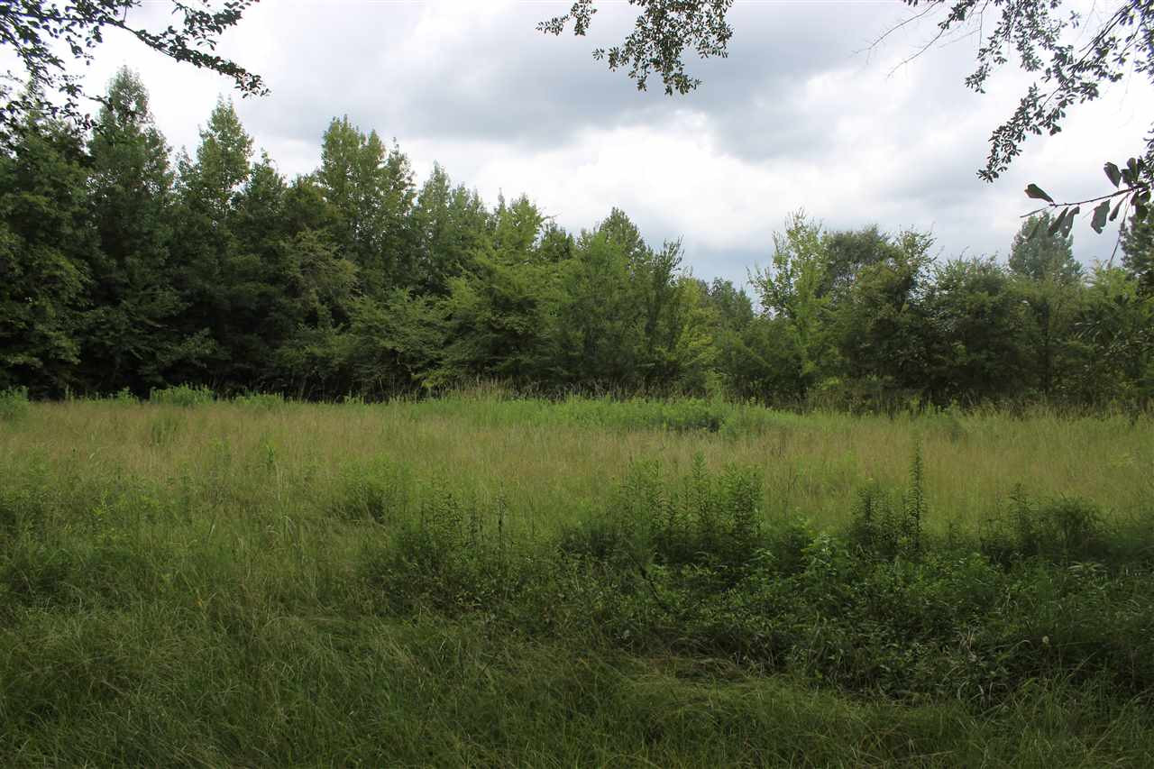 2720 River Bend Road Lena, MS 39094 - Photo 8 of 19 Photo 8