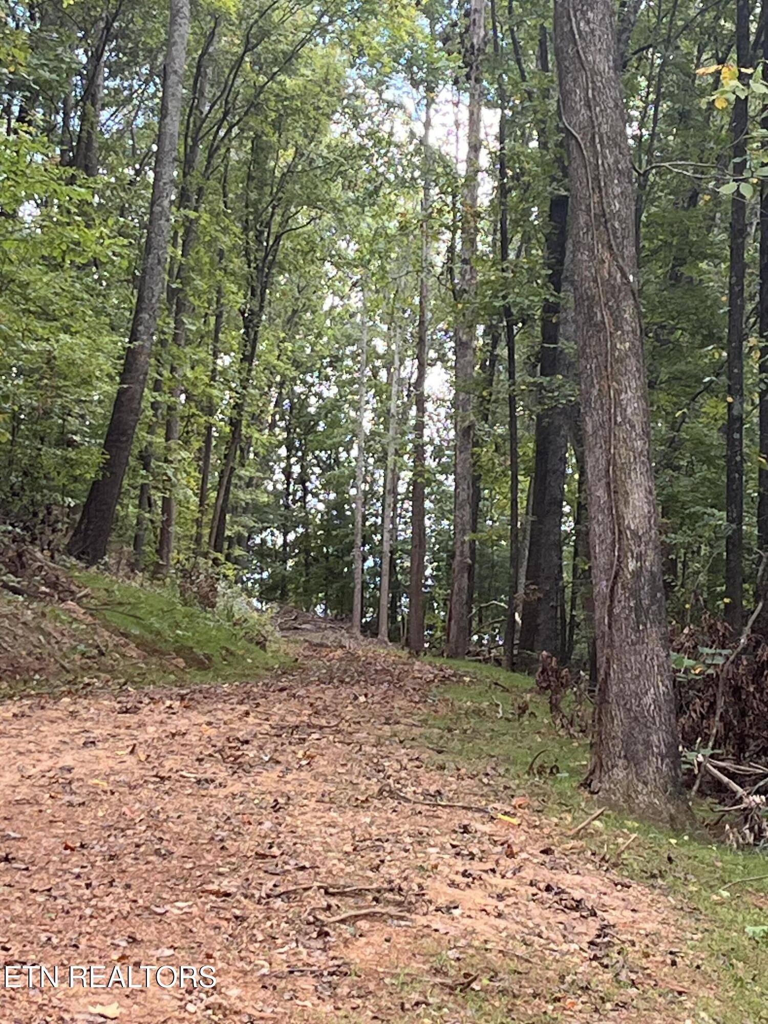 0 Cr 67 Road Riceville, TN 37370 - Photo 18 of 50 Gallery Image 18