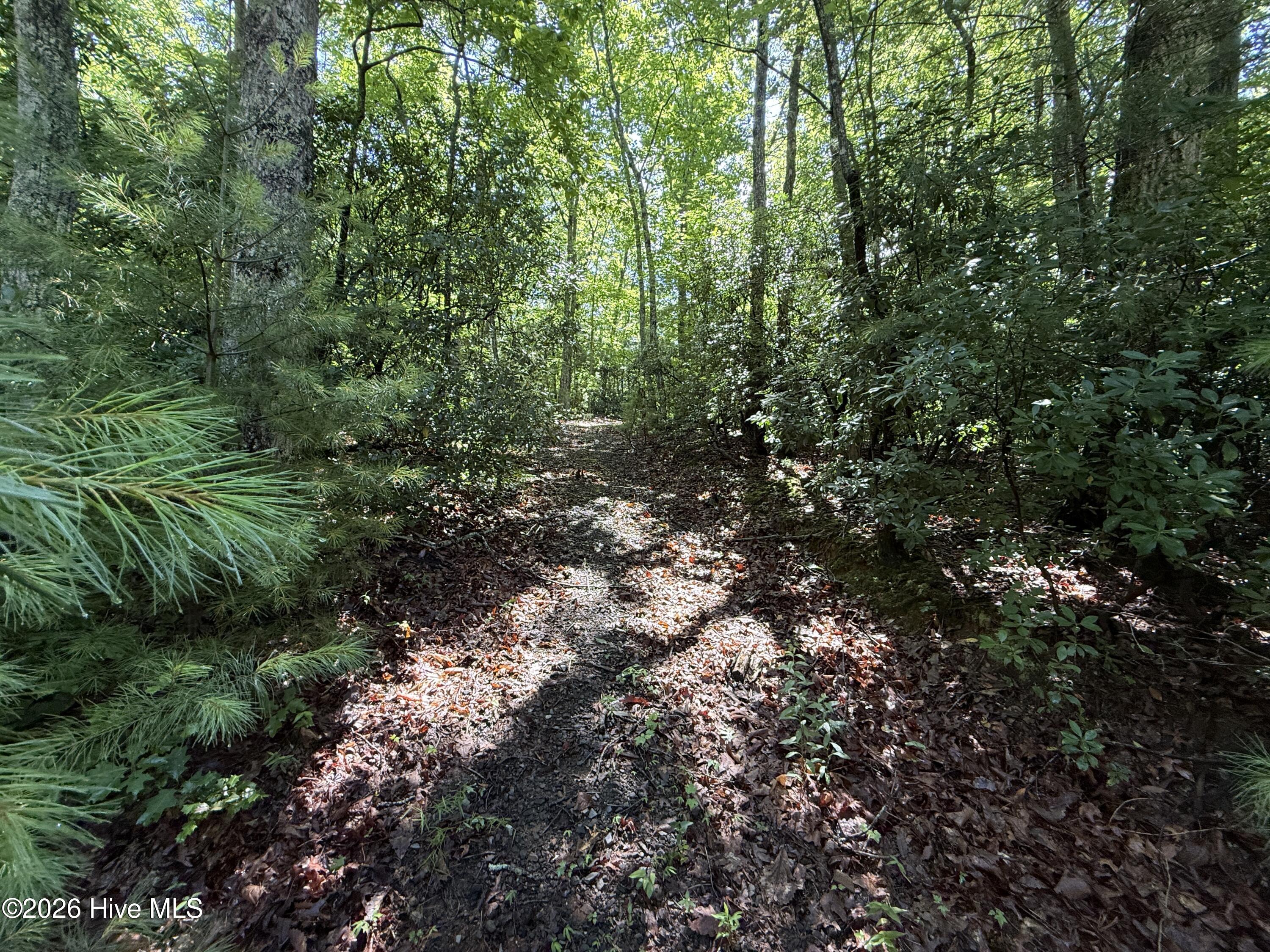 81 Roberts Road Murphy, NC 28906 - Photo 2 of 9