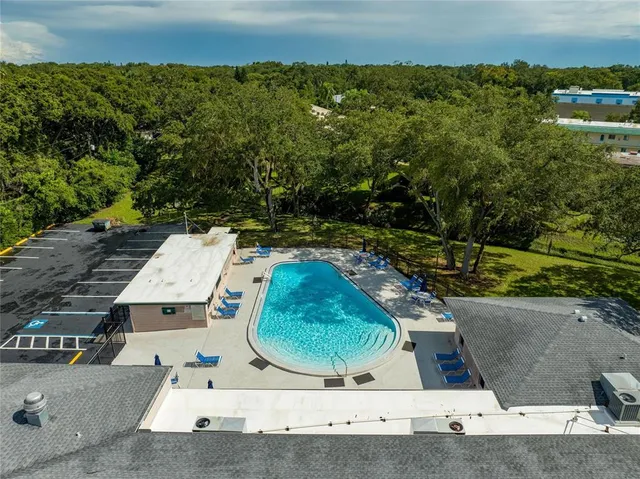 a view of a yard with plants and large trees