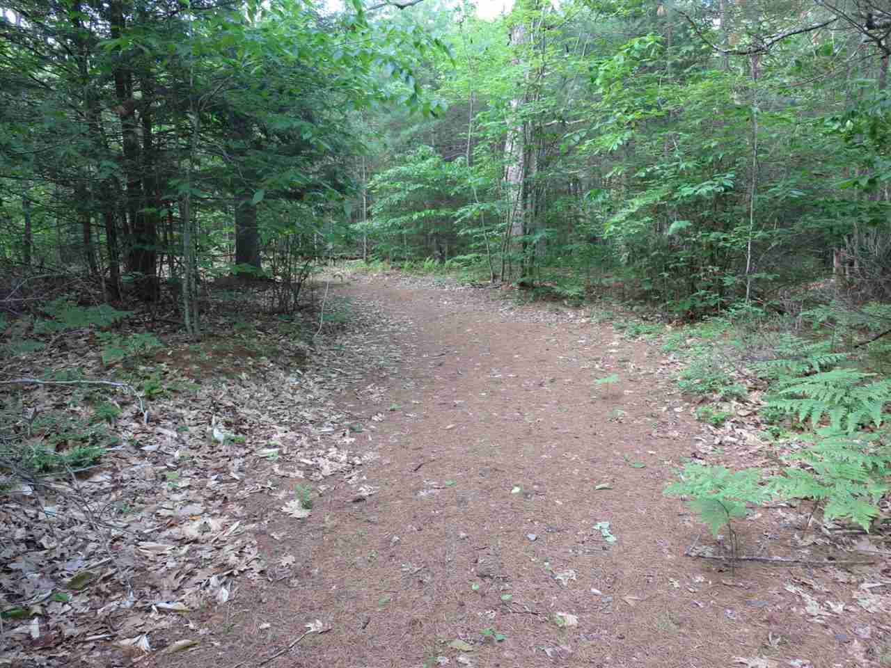 72 Tasker Hill Road Strafford, NH 03884 - Photo 33 of 40