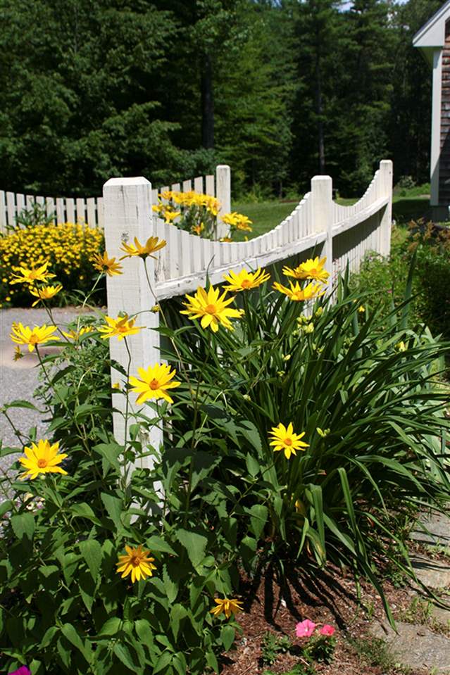 72 Tasker Hill Road Strafford, NH 03884 - Photo 35 of 40
